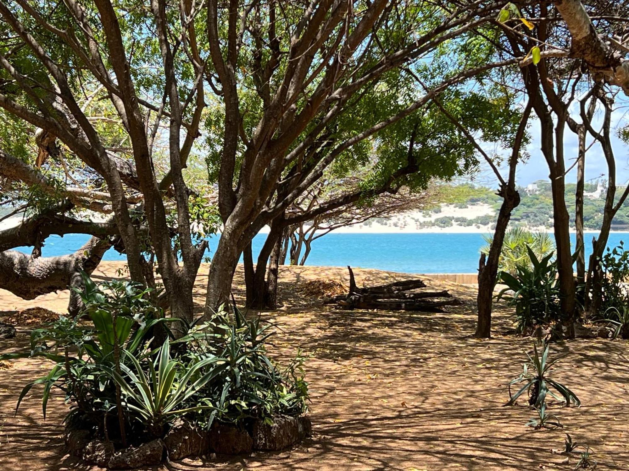 Mangrove House Hotel Lamu Exterior photo